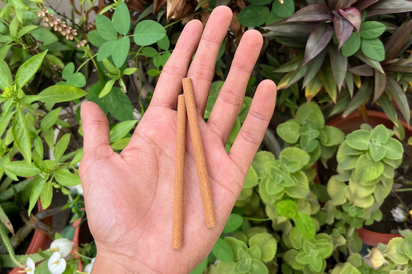 MULTI-SCENT DHOOP STICKS