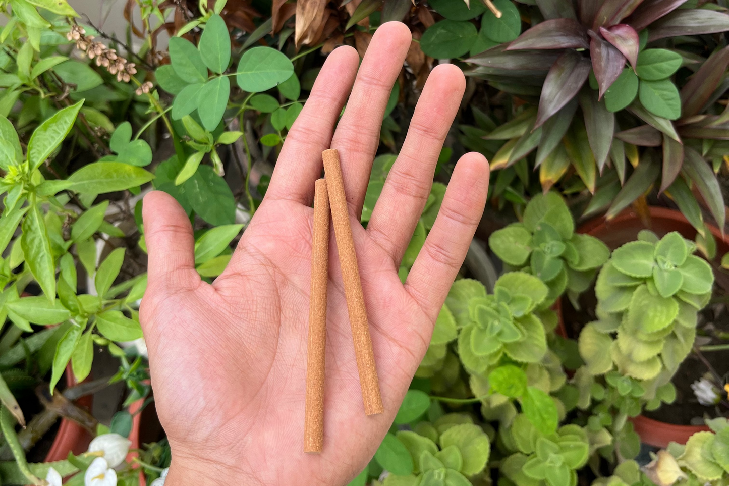 LAVENDER DHOOP STICKS