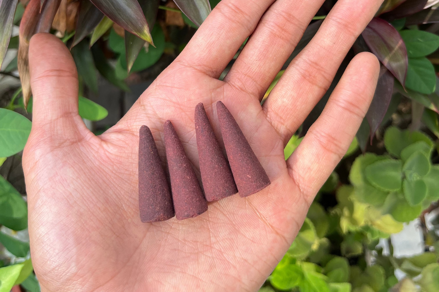 ROSE DHOOP CONES