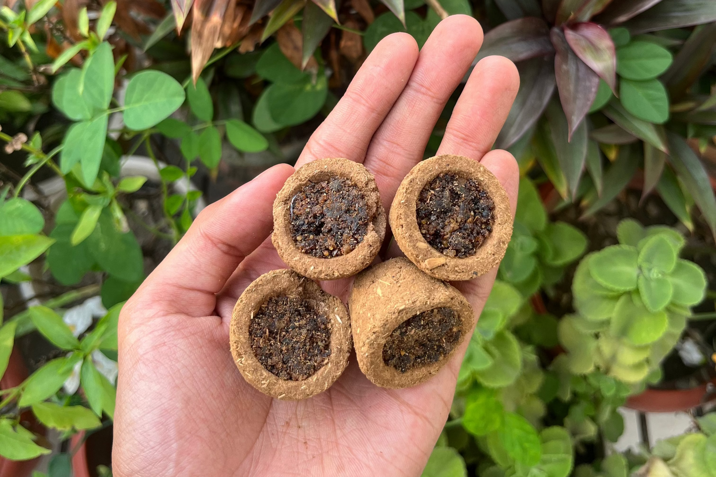 COW DUNG SAMBRANI CUPS + HAVAN KUND(CERAMIC STAND)