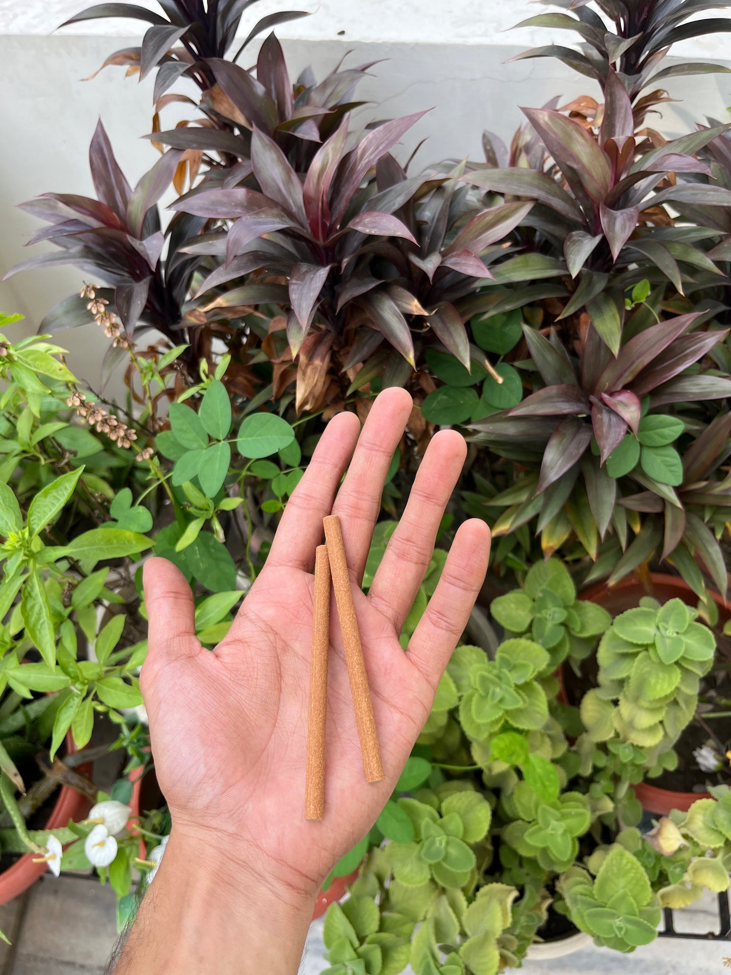 JASMINE DHOOP STICKS